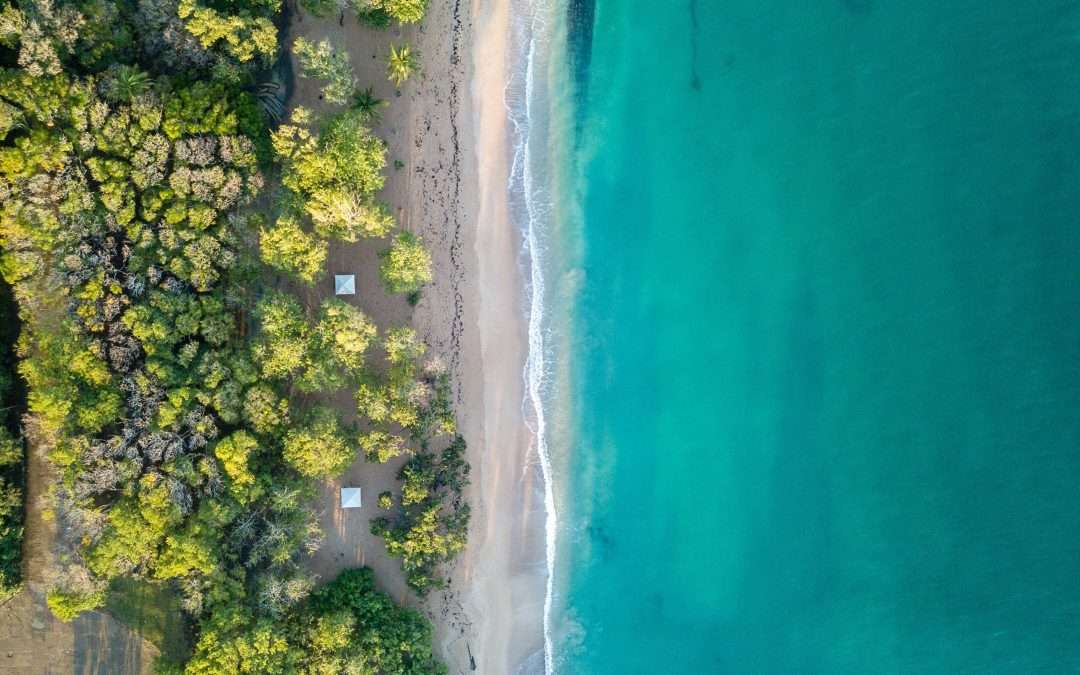 Los DROM-COM: Tesoros desconocidos del mundo francófono